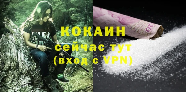2c-b Горно-Алтайск