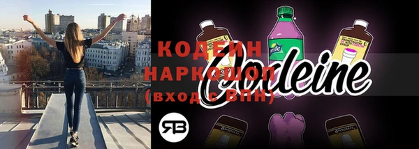 ПСИЛОЦИБИНОВЫЕ ГРИБЫ Горняк