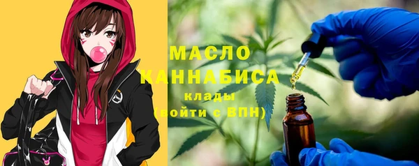 2c-b Горно-Алтайск
