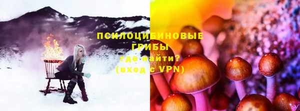 ПСИЛОЦИБИНОВЫЕ ГРИБЫ Горняк