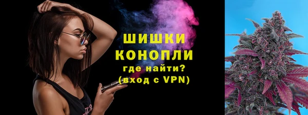 ПСИЛОЦИБИНОВЫЕ ГРИБЫ Горняк
