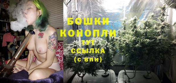 бутират Горнозаводск