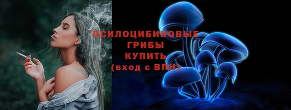 бутират Горнозаводск