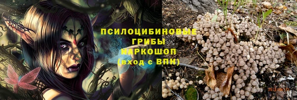 бутират Горнозаводск