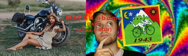 ПСИЛОЦИБИНОВЫЕ ГРИБЫ Горняк