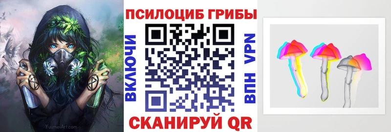 Купить где  Камень-на-Оби  Псилоцибиновые грибы Magic Shrooms 