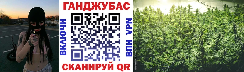 Купить где  Камень-на-Оби  Бошки марихуана Ganja 